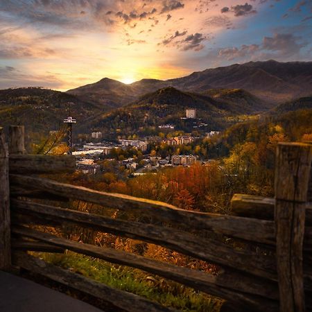 Papa Bear, Hot Tub, Wifi, 1089 Free Tickets Each Paid Day, Dollywood And More 塞维尔维尔 外观 照片
